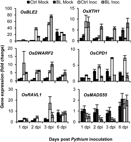 Figure 2.