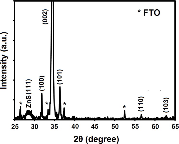 Fig 2