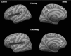 <b>FIG. 6.</b>
