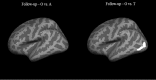 <b>FIG. 5.</b>