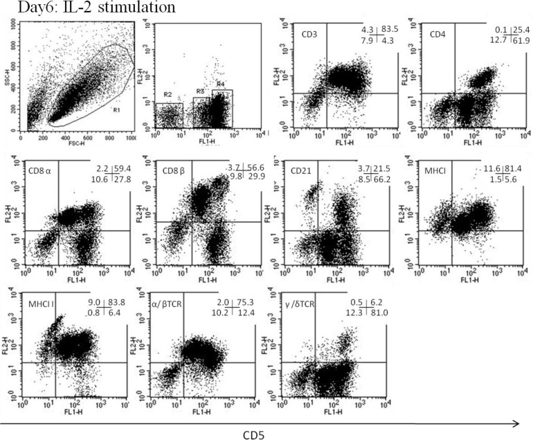 Fig. 6