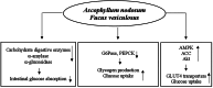 FIGURE 14