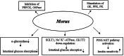 FIGURE 16