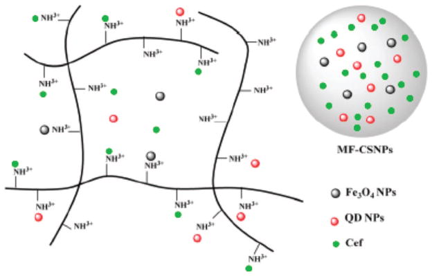 Figure 36