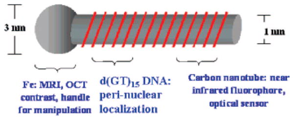 Figure 31