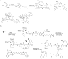 Figure 44