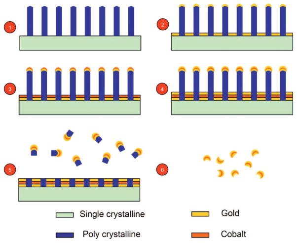 Figure 28