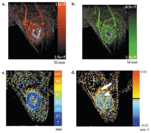 Figure 41