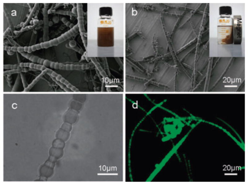 Figure 33