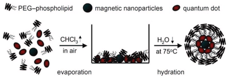 Figure 13