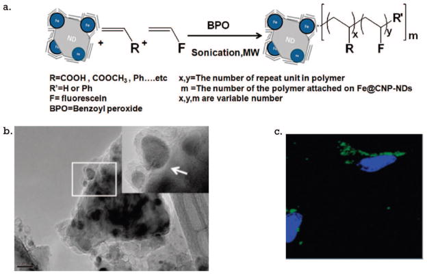 Figure 29