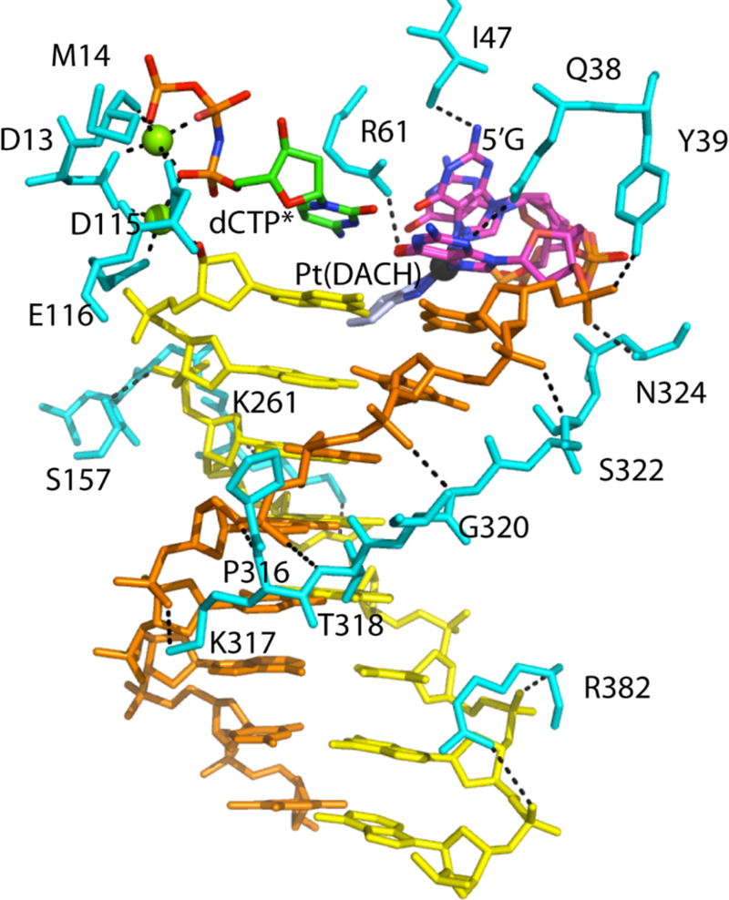 Figure 6.