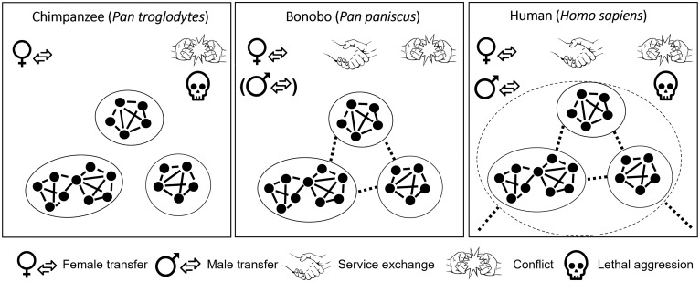 Fig. 3.