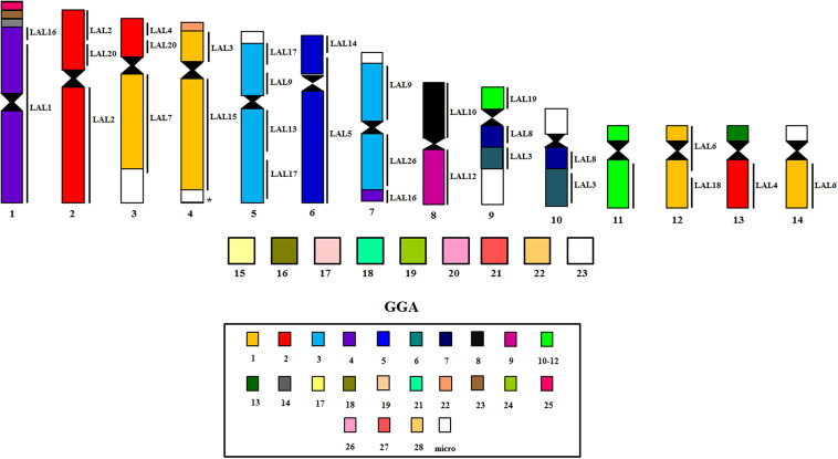 FIGURE 3