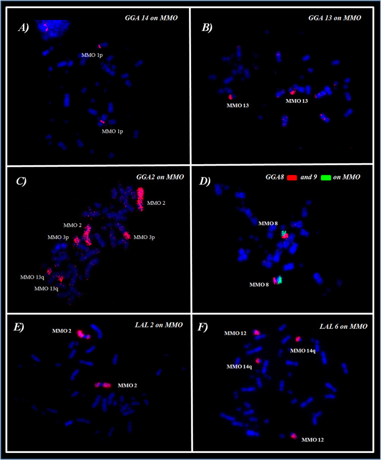 FIGURE 2