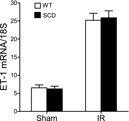 Fig. 10.