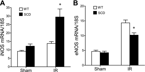 Fig. 9.