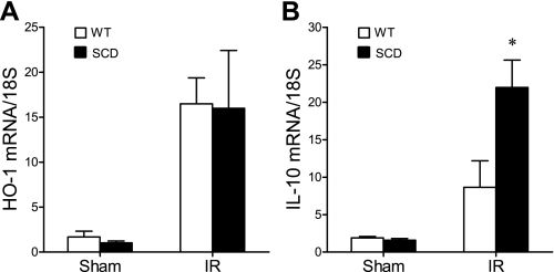 Fig. 12.