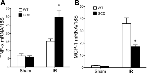 Fig. 11.