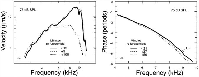 Fig. 20