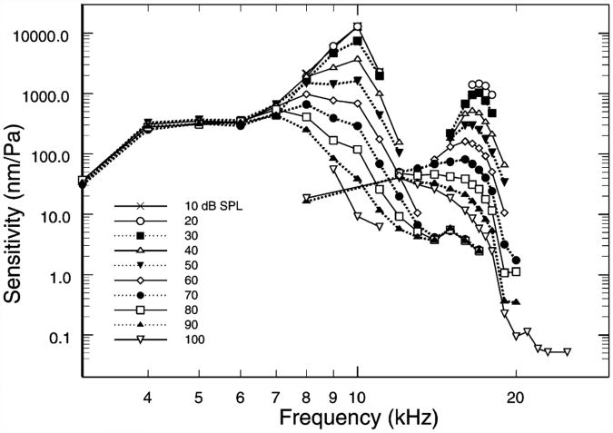 Fig. 5