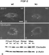 Figure 9.