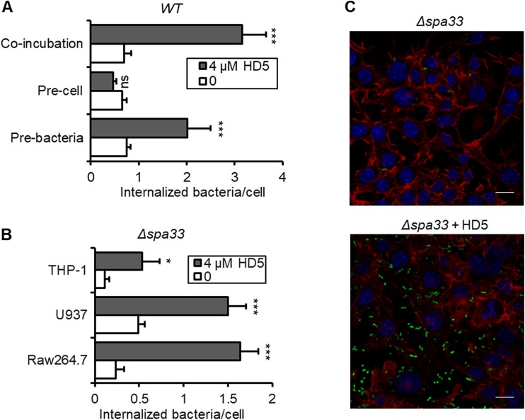 FIG 3