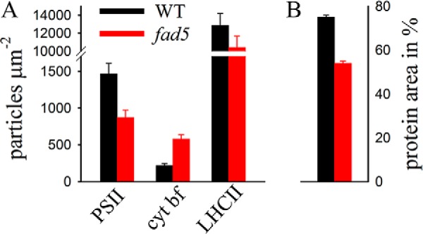 FIGURE 11.