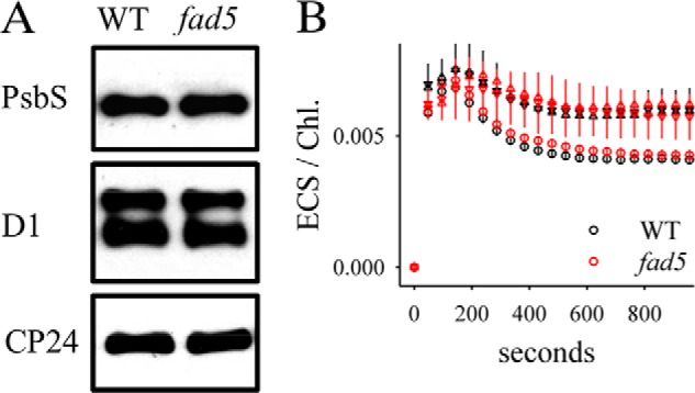 FIGURE 9.