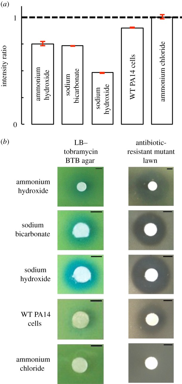 Figure 4.