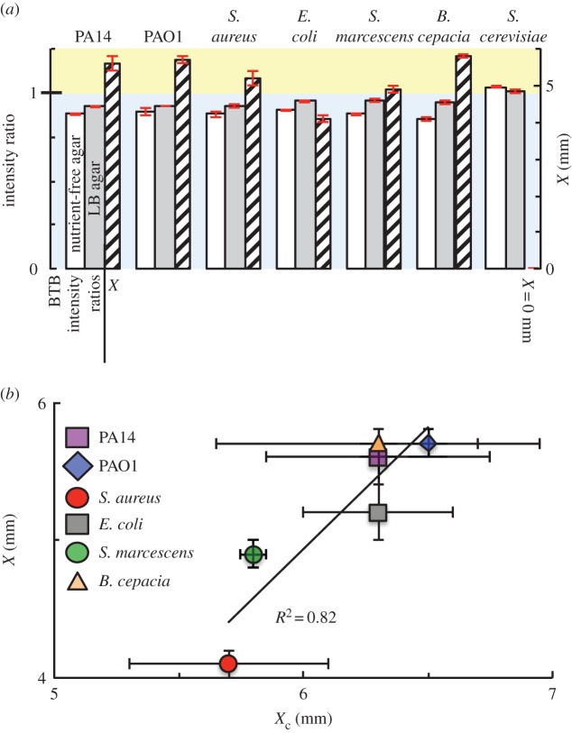 Figure 3.