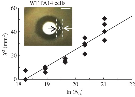 Figure 2.