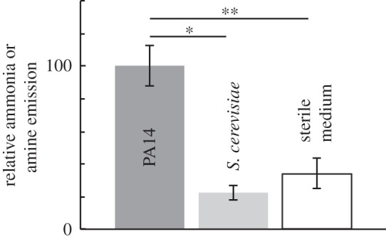 Figure 5.