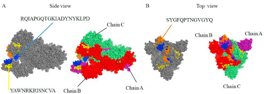 Fig. 3