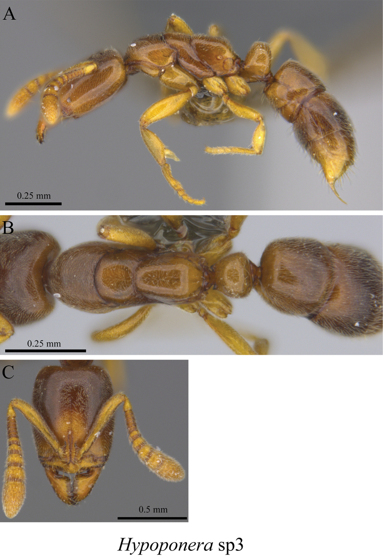 Figure 121.