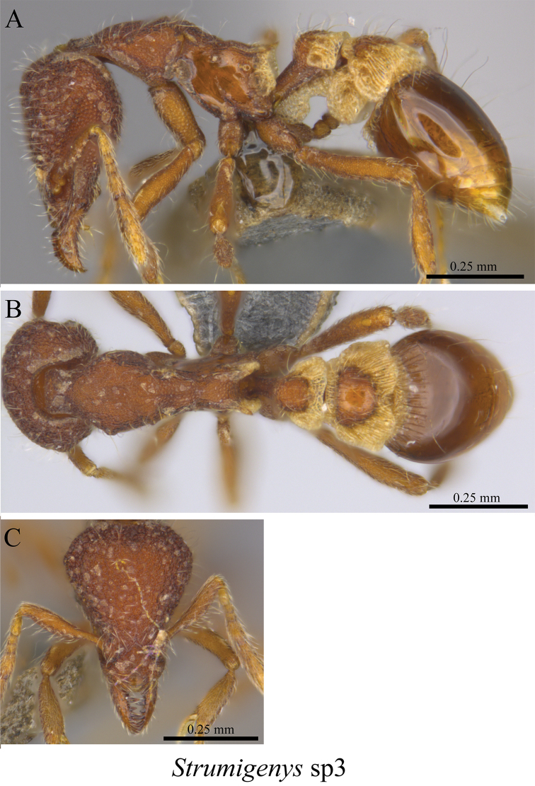 Figure 105.