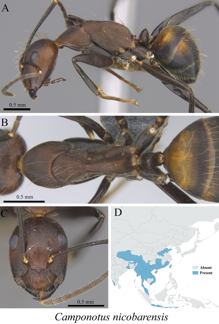 Figure 25.