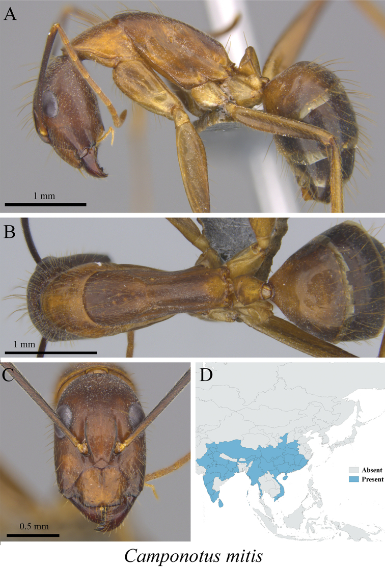 Figure 24.
