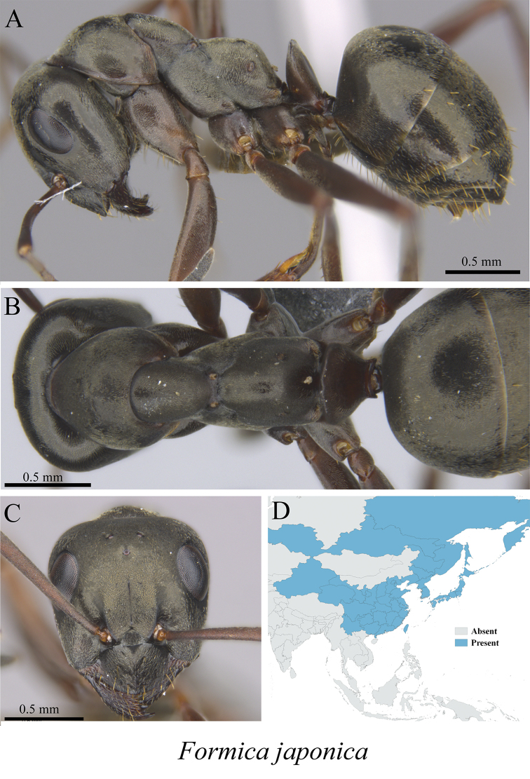 Figure 32.