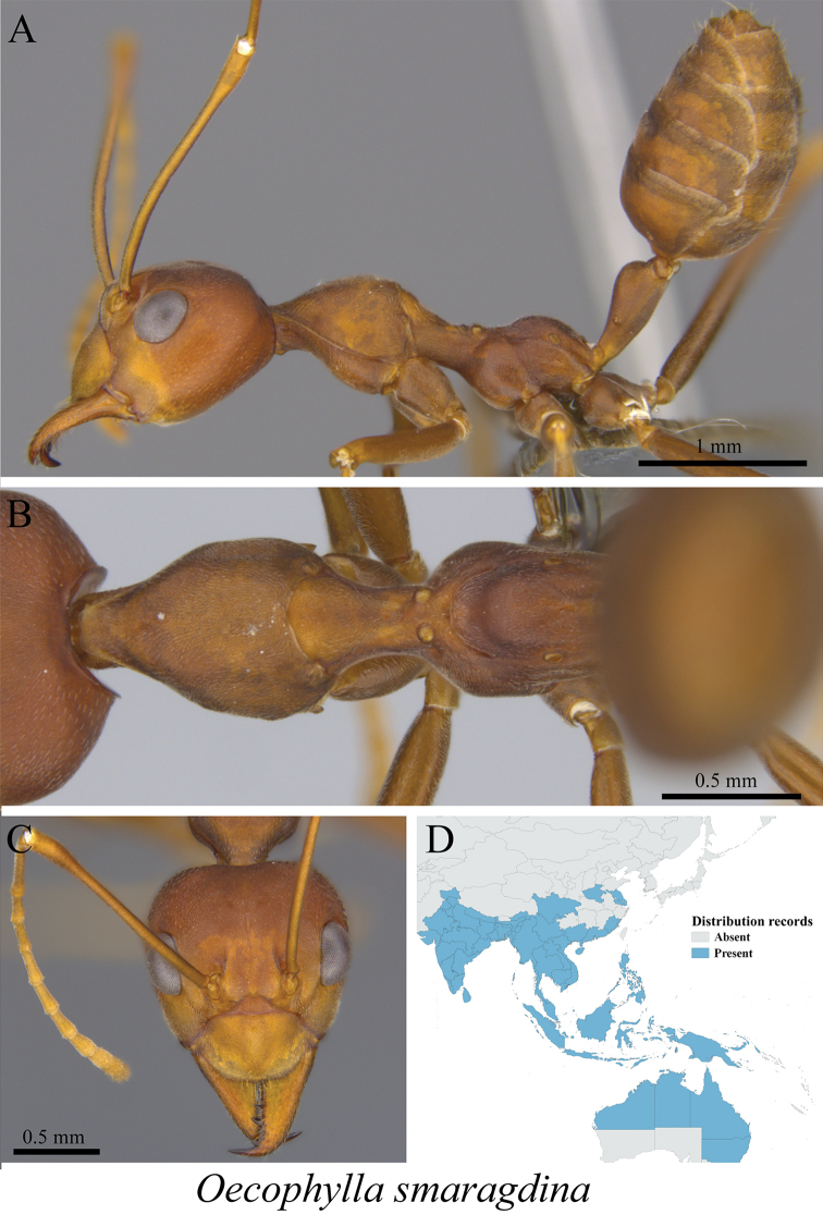 Figure 38.
