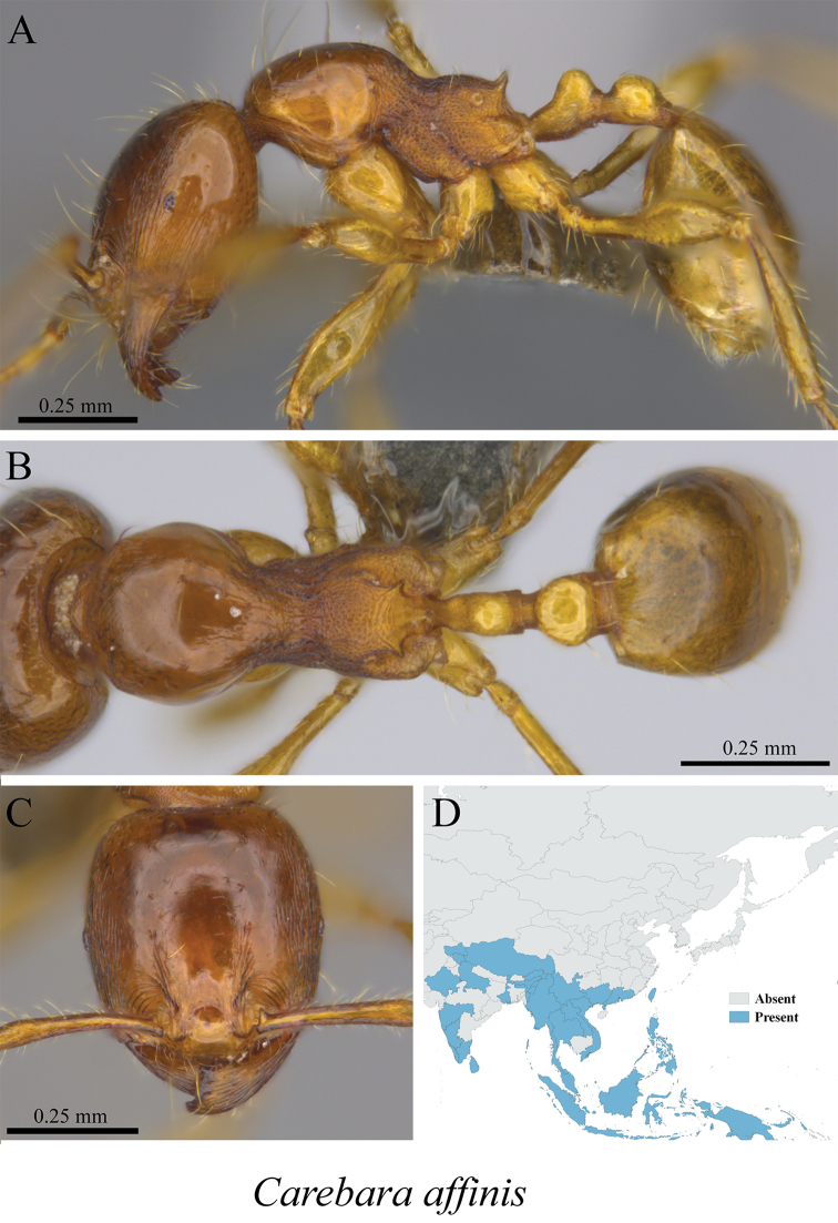 Figure 65.