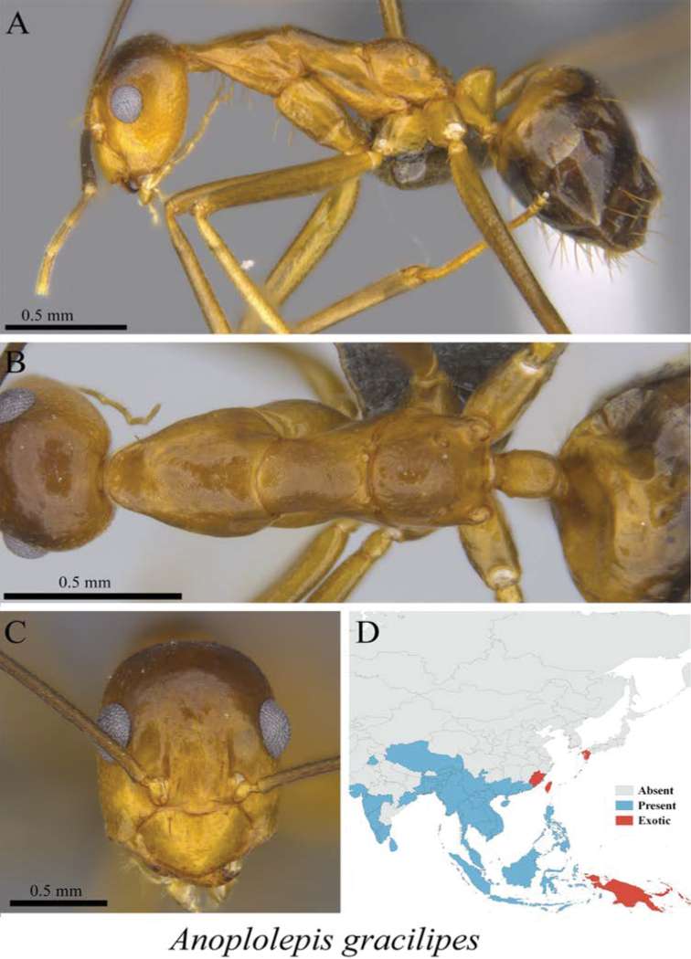 Figure 19.