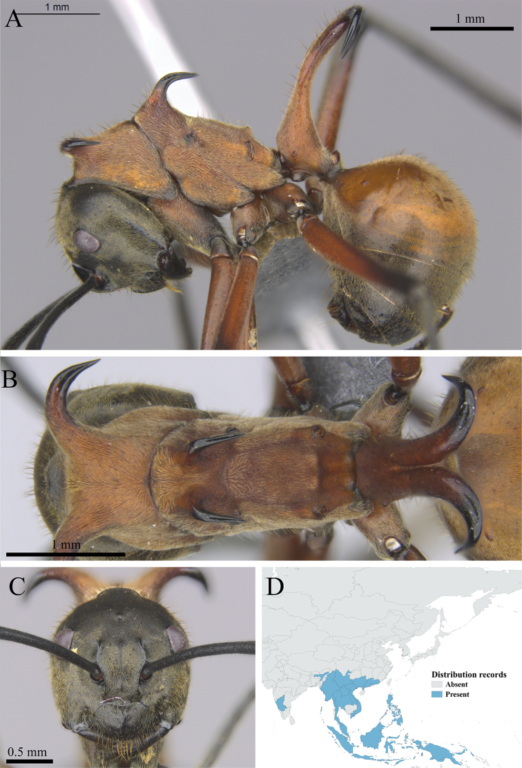 Figure 43.