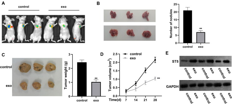 FIG 12