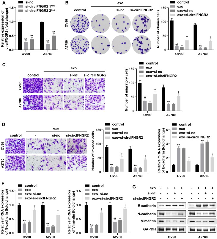 FIG 10