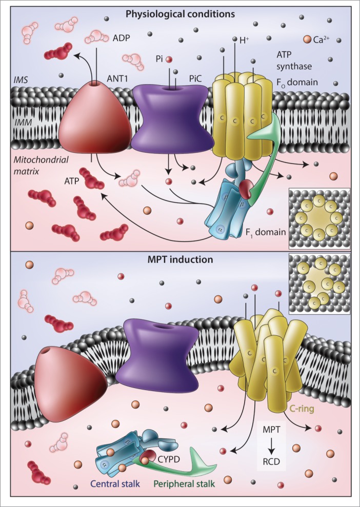 Figure 1.