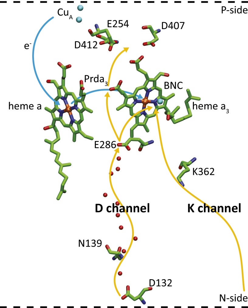 Fig. 1.