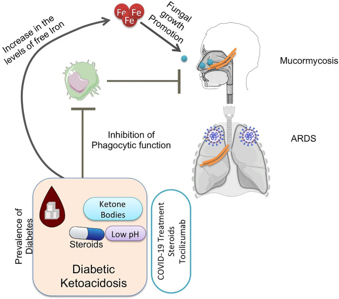 Graphical Abstract