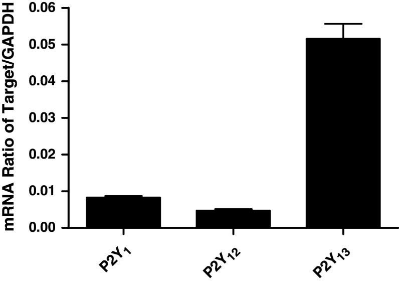 Fig. 1