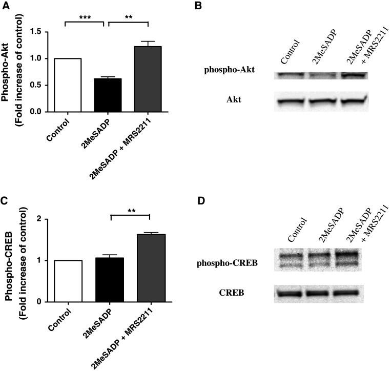 Fig. 6